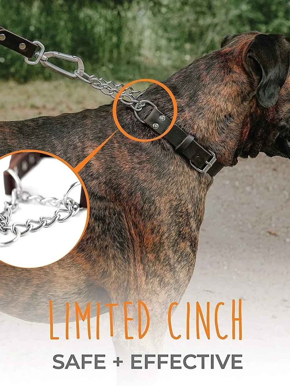 NWOT Mighty Paw Leather Martingale Dog Collar, Medium